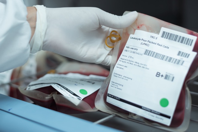 blood regulatory compliance