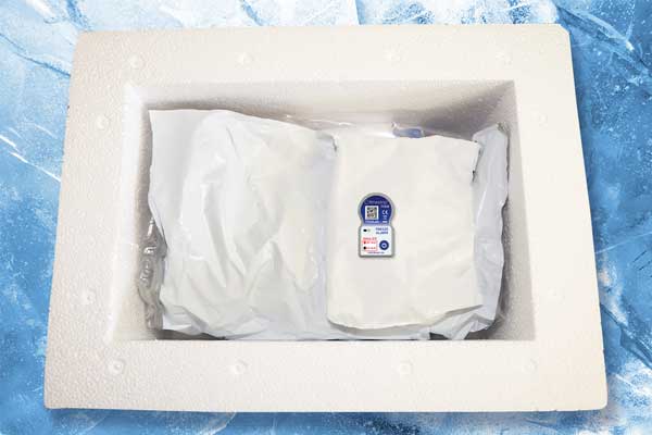 Cool box shipment freeze alarm