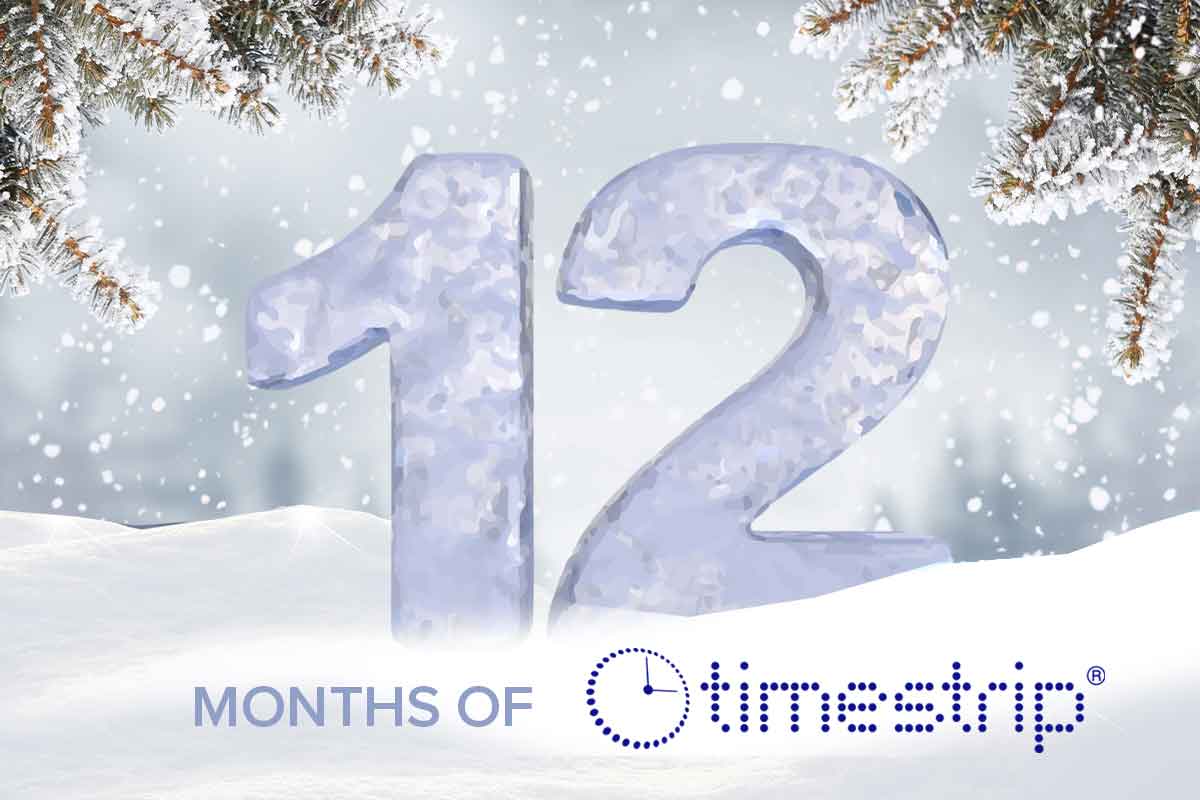 12 days of irreversible time temperature indicators