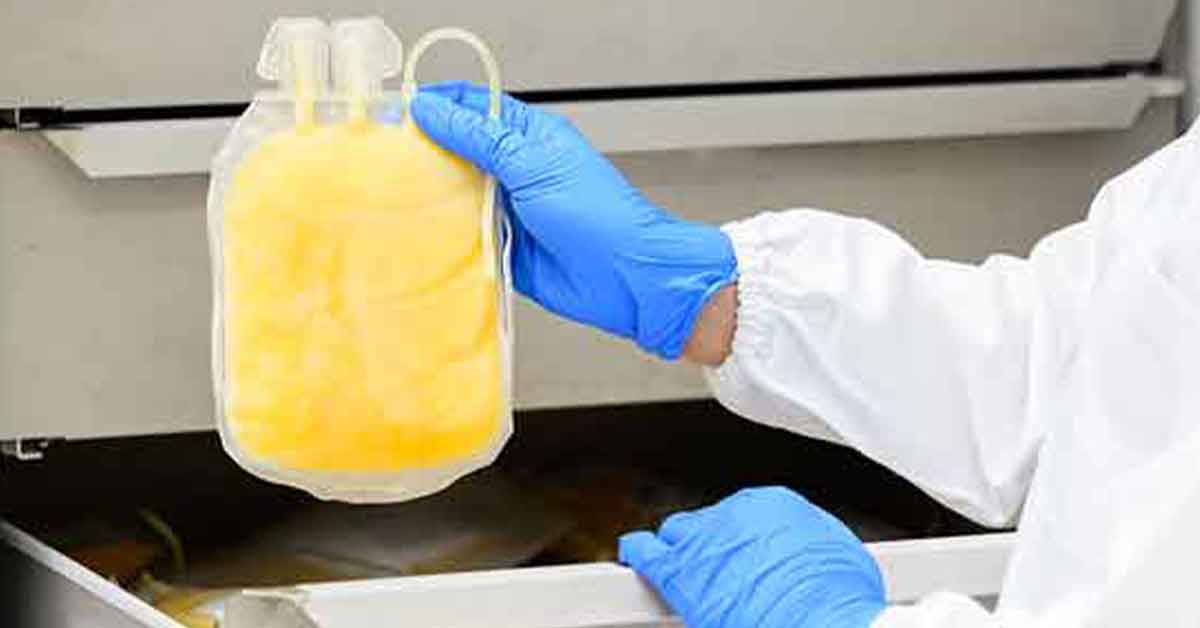 Fresh Frozen Plasma storage temperature FFP frozen storage